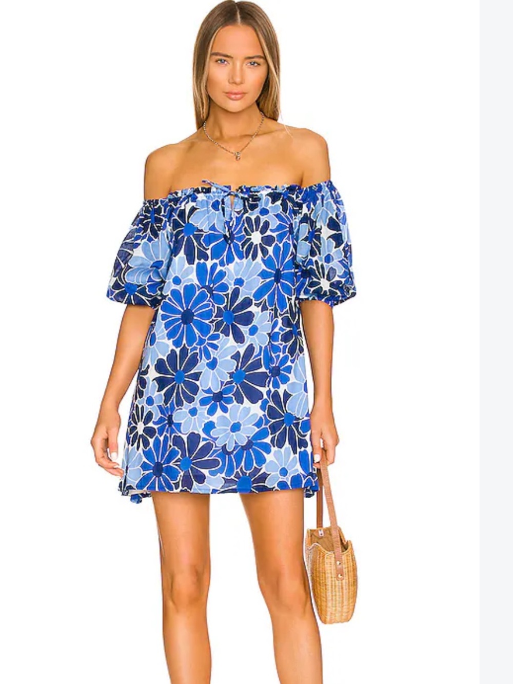 FAITHFULL THE BRAND Letisha Mini Dress In Canaria Floral Blue Size 4(US)